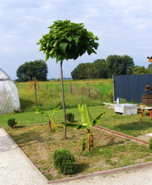 Szerencsecsillag Vendeghaz Hotel Kiskoros Buitenkant foto